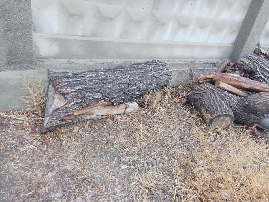 Дрова на растопку, самовывоз находится в городе