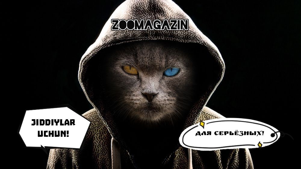 Товары для Животных