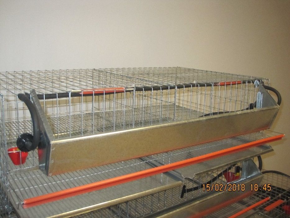 cusca 80 prepelite+adapatori automate