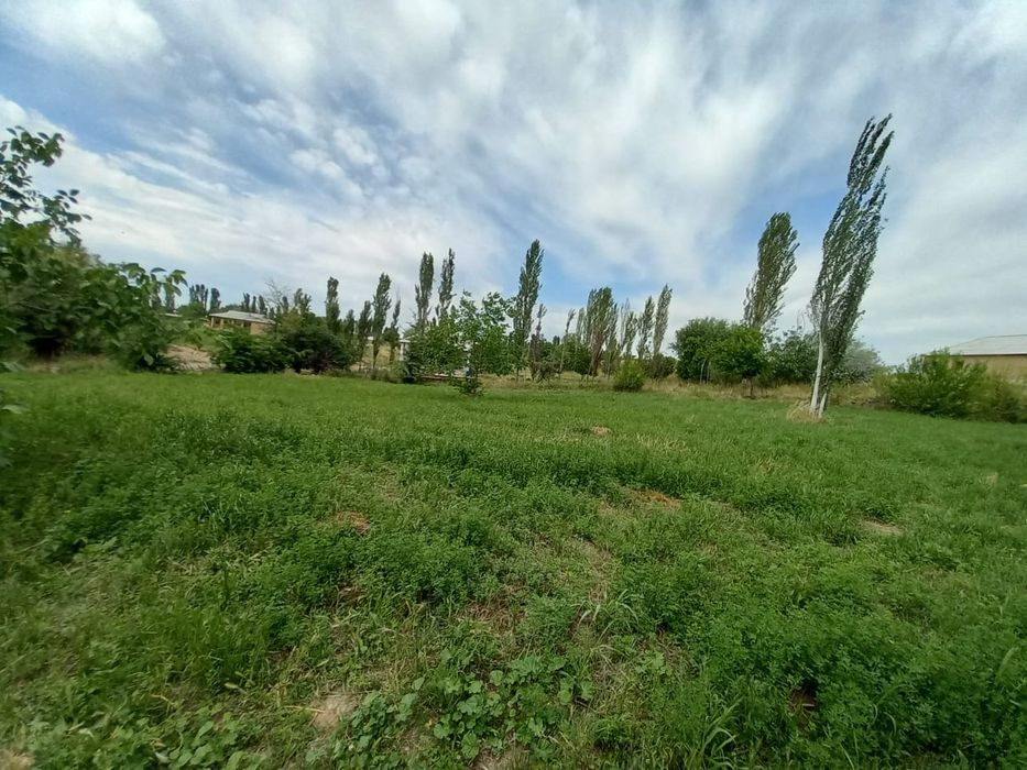 Пустои участка сотилади срочна