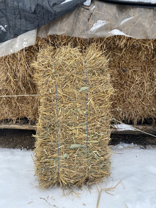 Vand baloti paie de grâu, orz