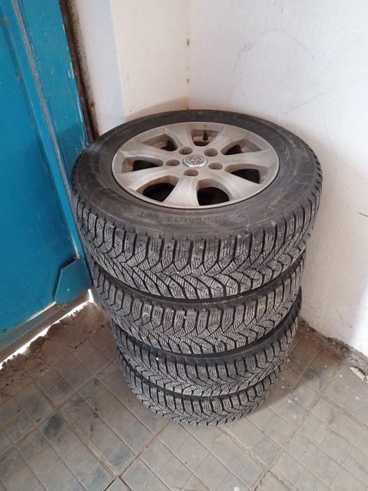 Автошина и титанка