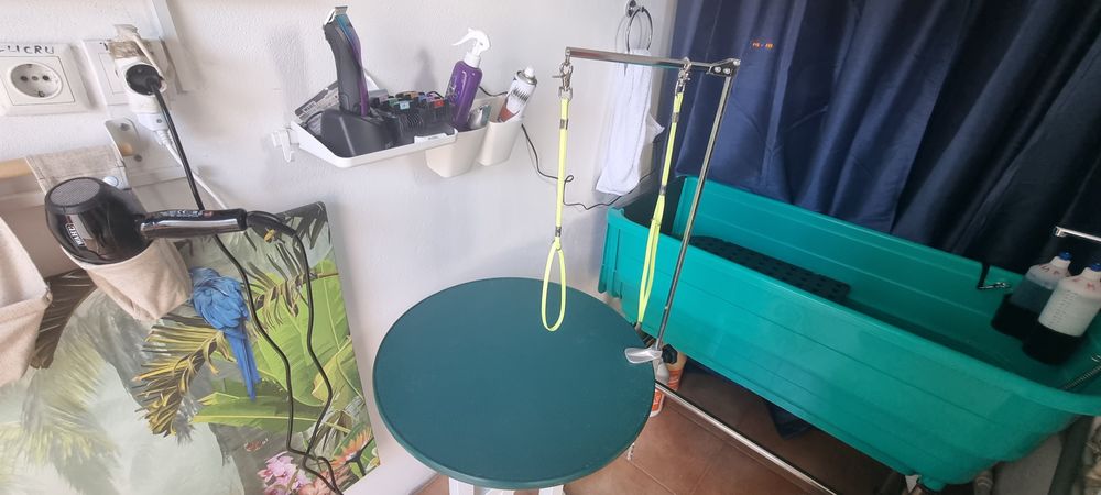 Tund câini de talie mică și medie