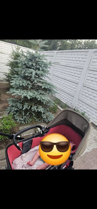 Бугабу фокс, Bugaboo Fox