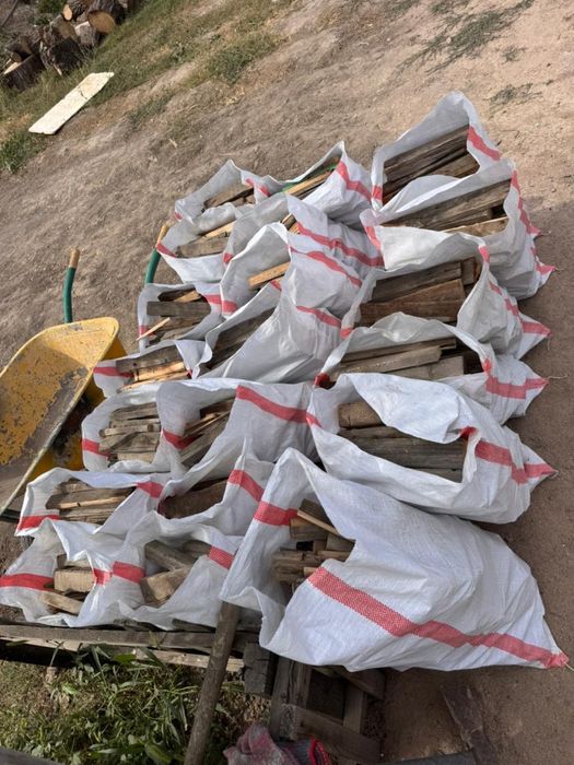 Дайын жарылған тамыздық