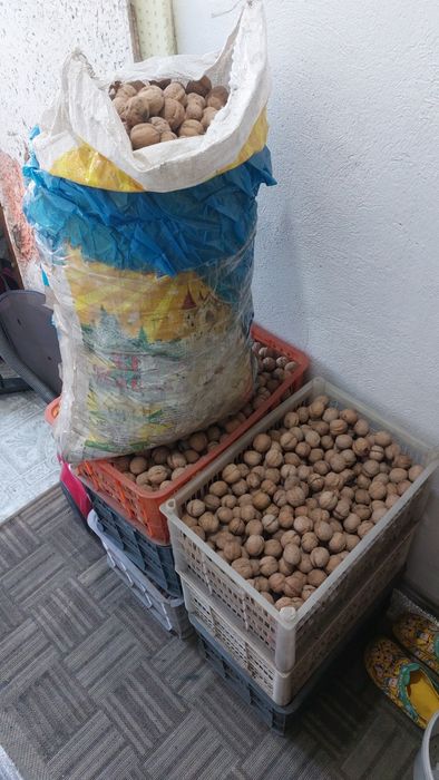Продам орехи грецкие