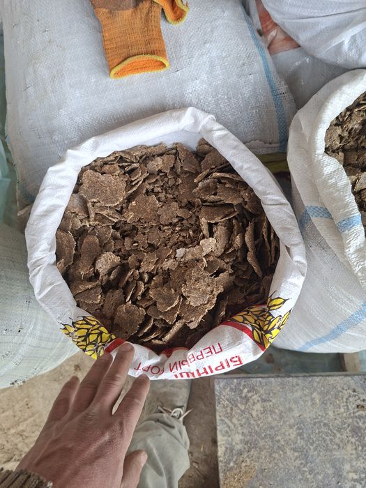 Семичка кунжола с