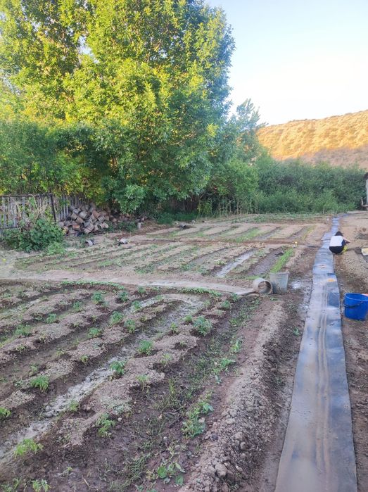 Срочно Продам Дача на Спутнике