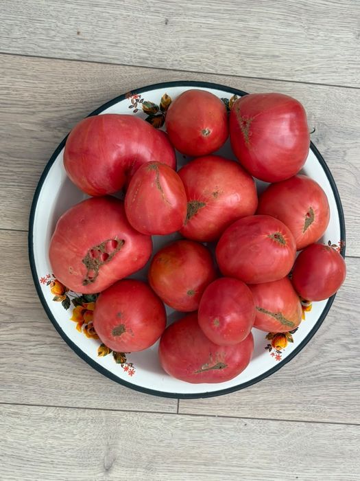 Продам домашние помидоры