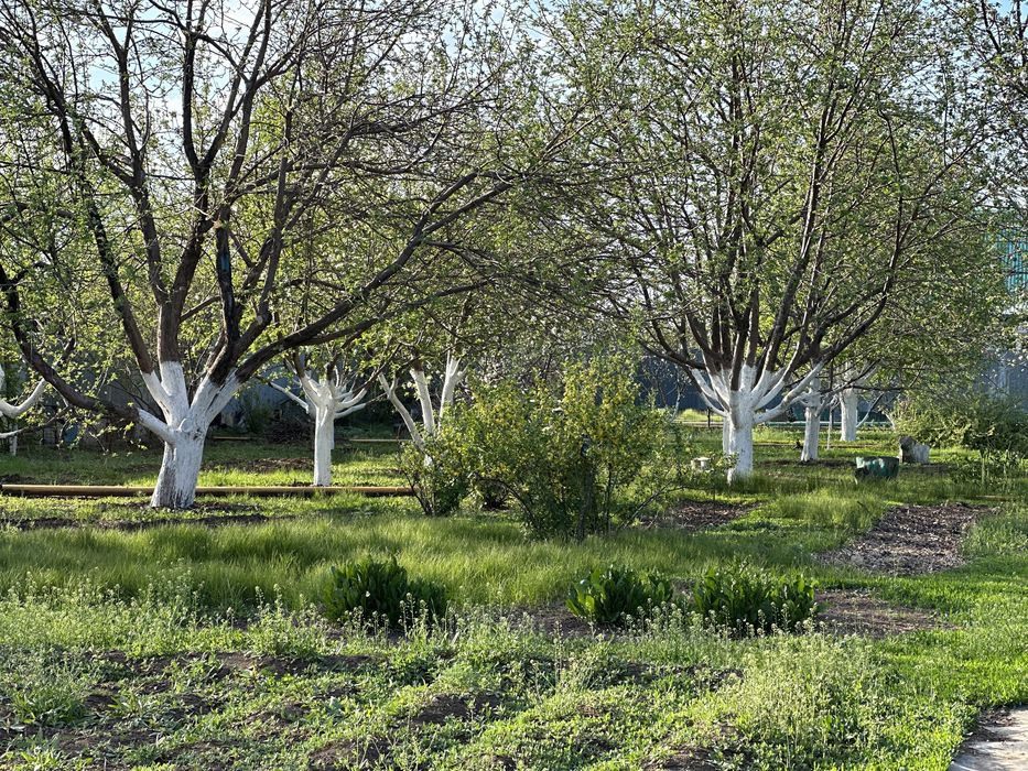 Срочно продам дом с  30 сот участоком!