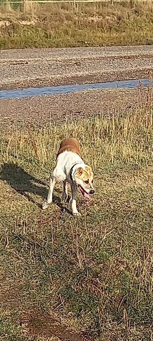 Вязка  вес 55 -57