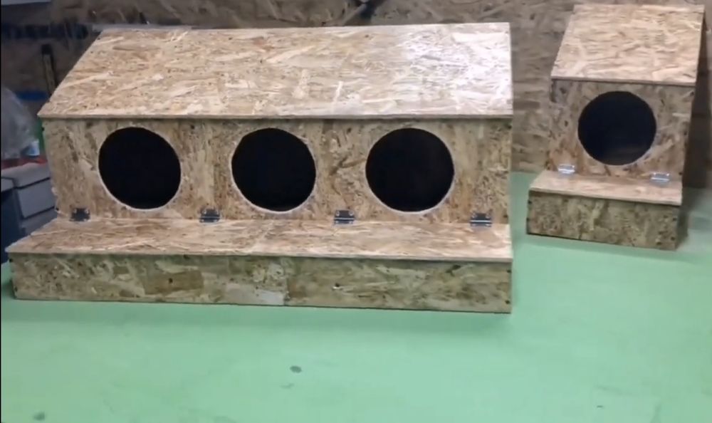 Tovuqlar uchun tuxum yig‘gichli uyacha