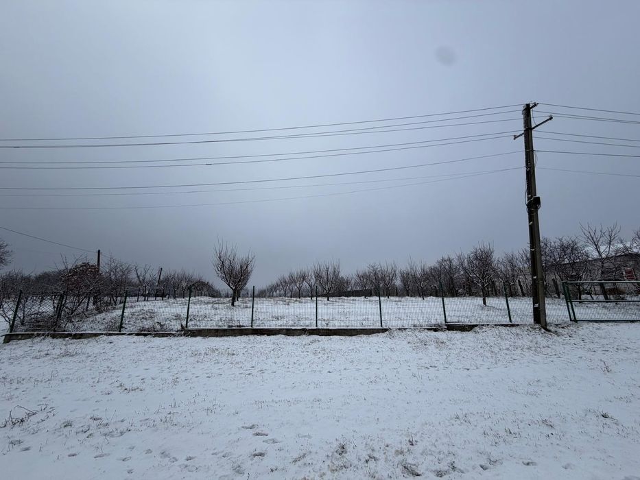 Teren intravilan 5200 mp - zonă superba, brazi și pădure