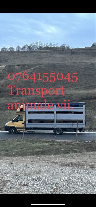 Transport abimale vii