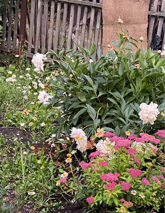 Продам Дом с баней район Кривозерки