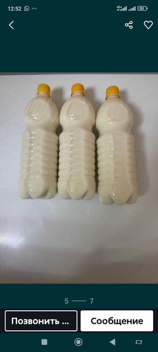 Кумыс майски қымыз