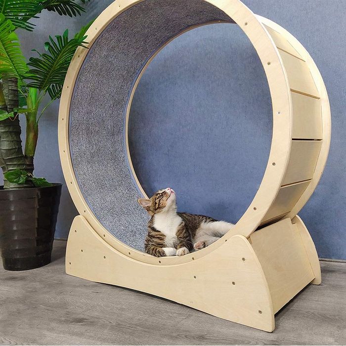 Roată (banda ) de exerciții  (alergat) pentru pisici. Produs sigilat!