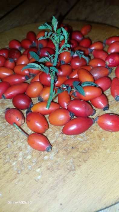 Maciese de vinzare disponibil doar pe comanda negociabil