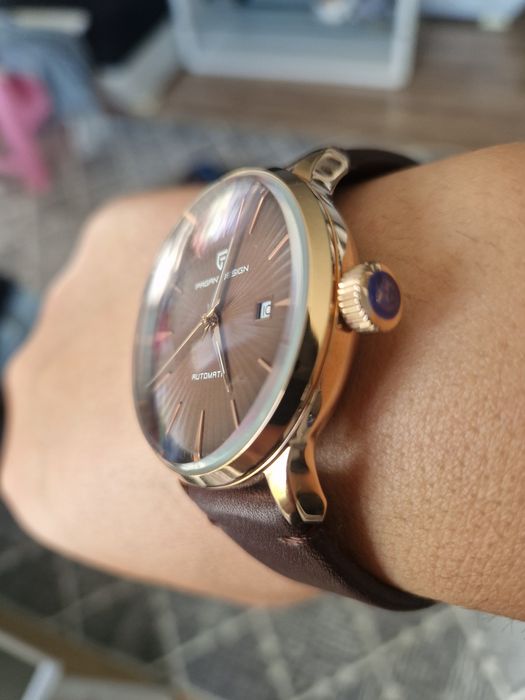 Pagani desing-нов