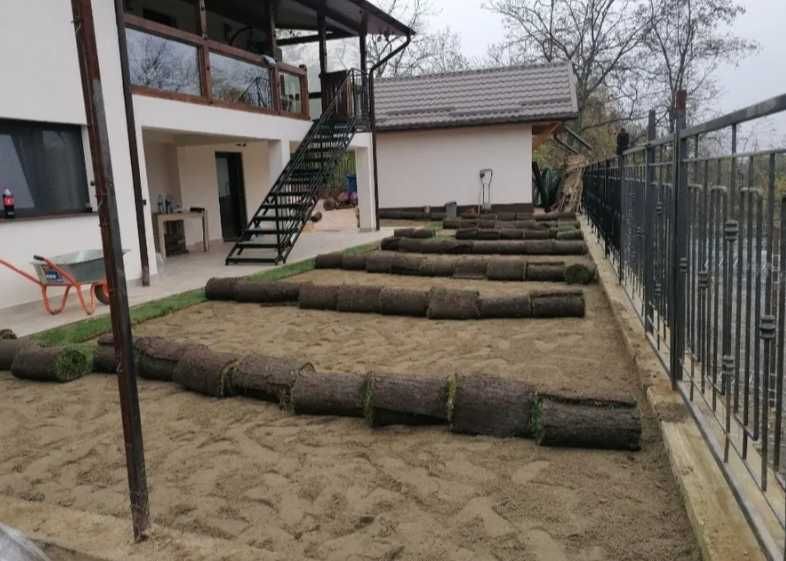 Gazon Rulou Calitate extra