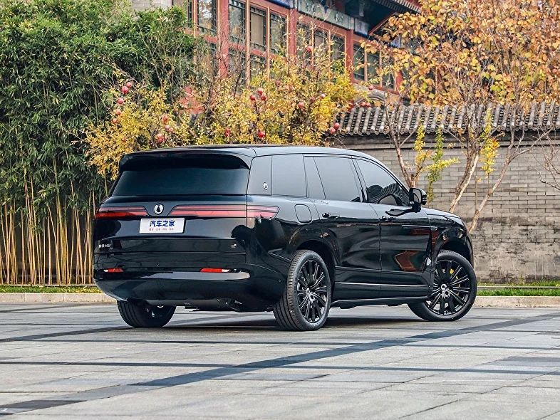 Denza N9 под заказ от Terra Auto