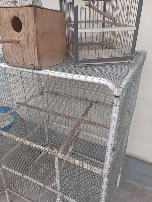 Продается Валер для птиц