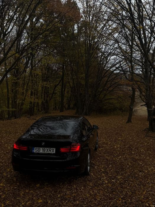 BMW Seria 3 2013 — imagine 2