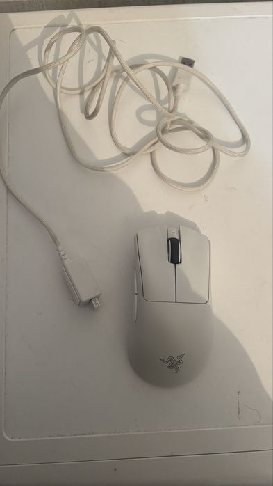 Мышь в хорошем состояний