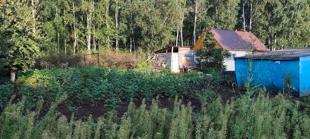 Дачный участок веснянка 6 соток