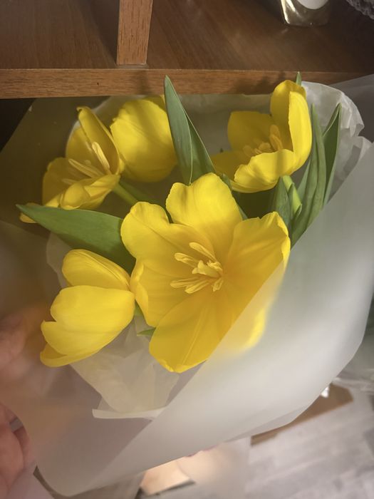 Цветы свежие. Тюльпаны, розы