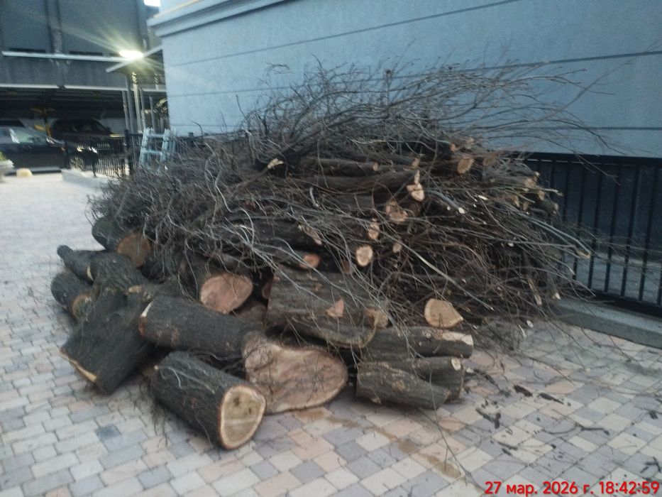 Yogoch sotiladi , yahshi