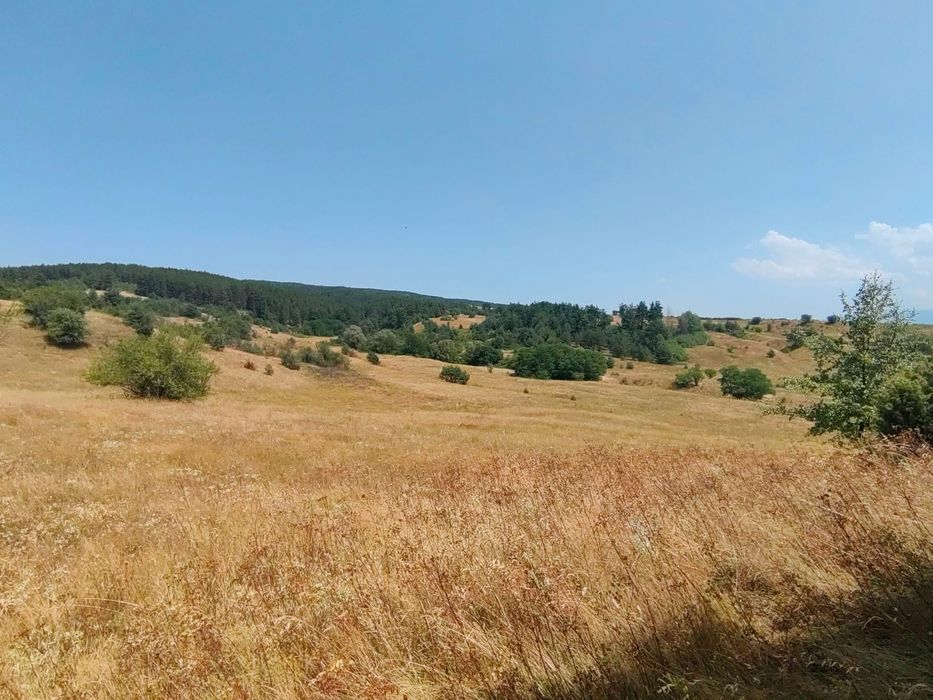 Продава се Парцел в с. Алино, Област София-област - 3103 кв.м за 12 €/кв.м - Снимка #1