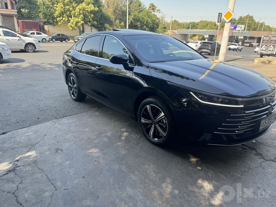 Byd Chazor 2025 full