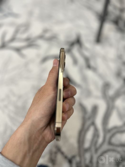 Iphone 12 pro maxx
