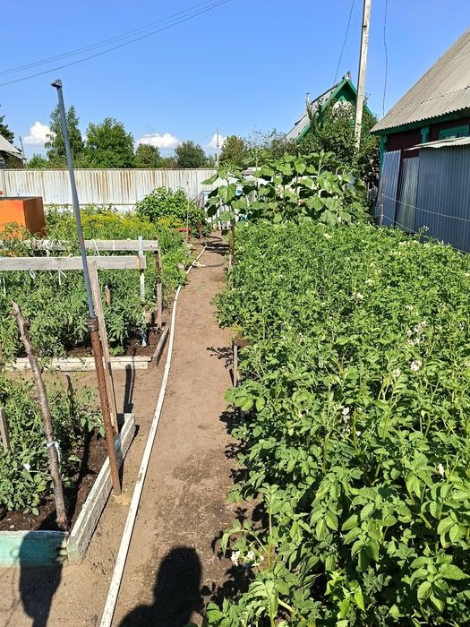 Продам дачу сад Реченька