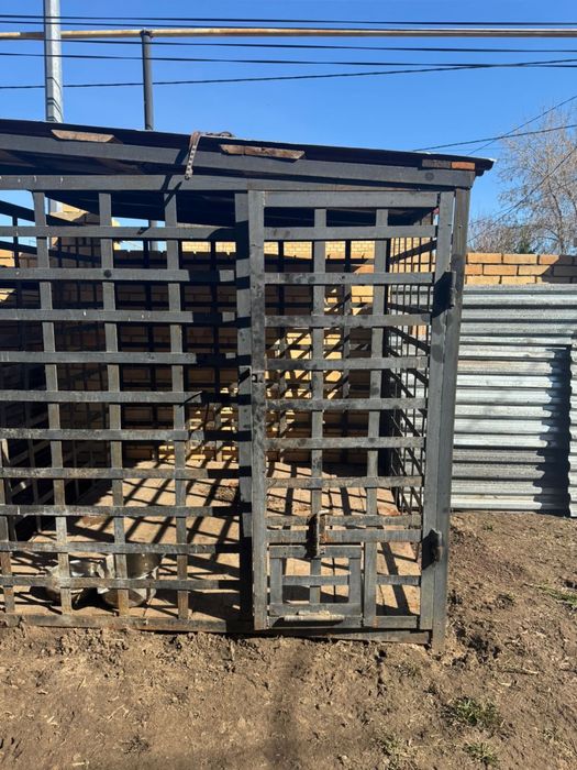 Американская акита