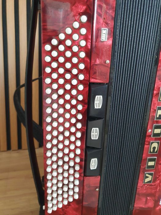 Acordeon Delicia 120 basi