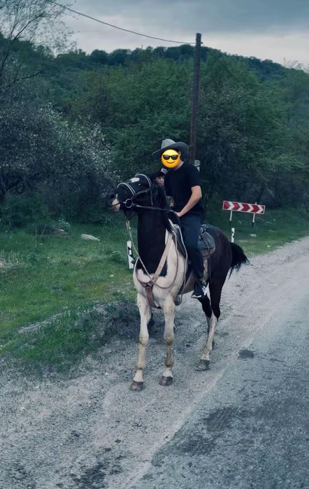 Продам лошадь ат сатылады