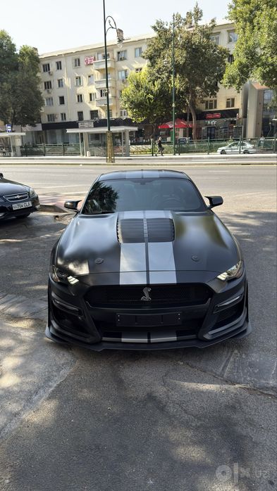 Ford Mustang (Shelby)