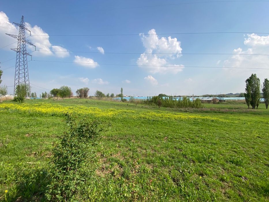 Недвижимость земли