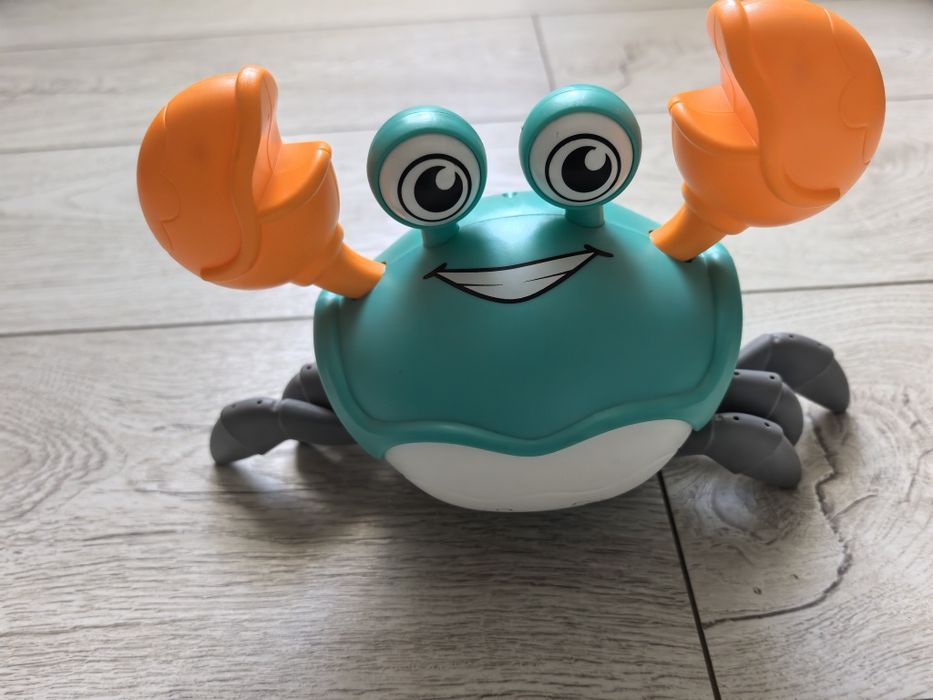 Crab interactiv.