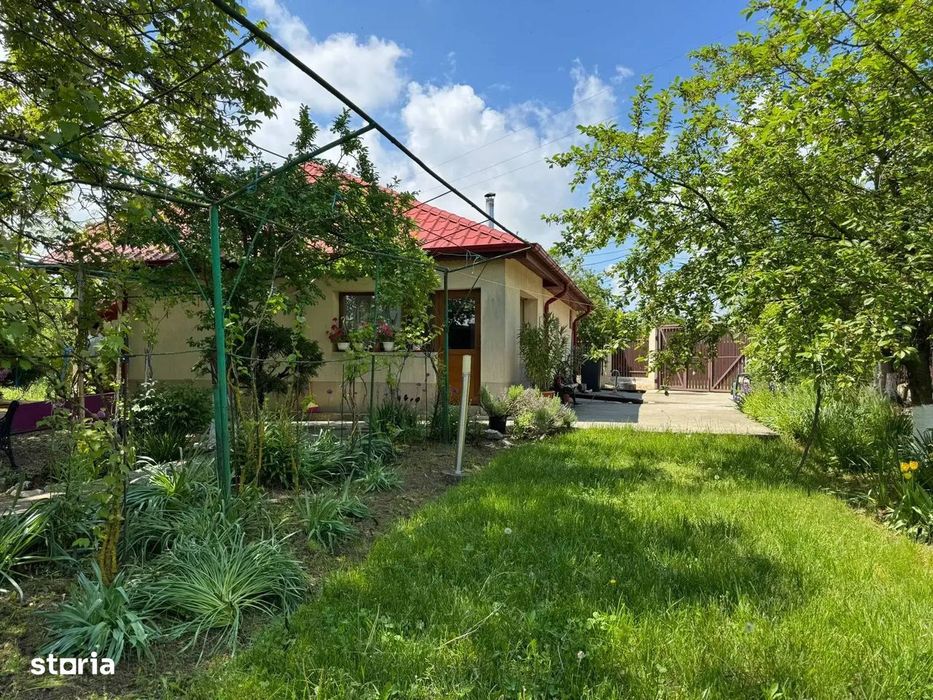 Casa cu 4000 mp teren, Letca Noua, Giurgiu — 40 min de București