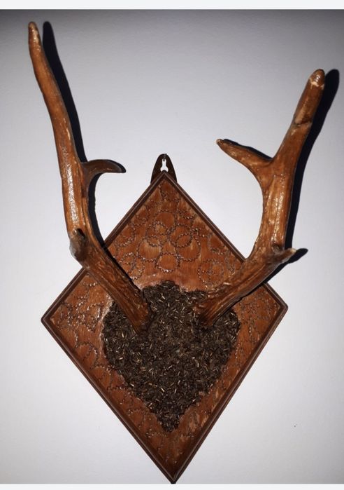 Panoplie coarnele caprior