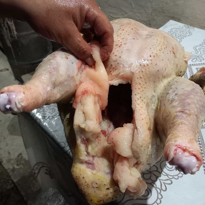 Индюше мясо свежее