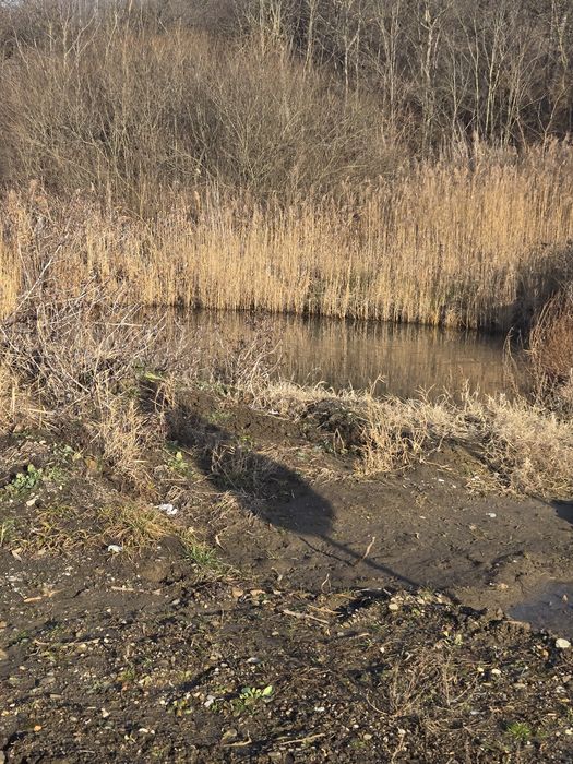 De vânzare doua hectare teren extravilan Corbita