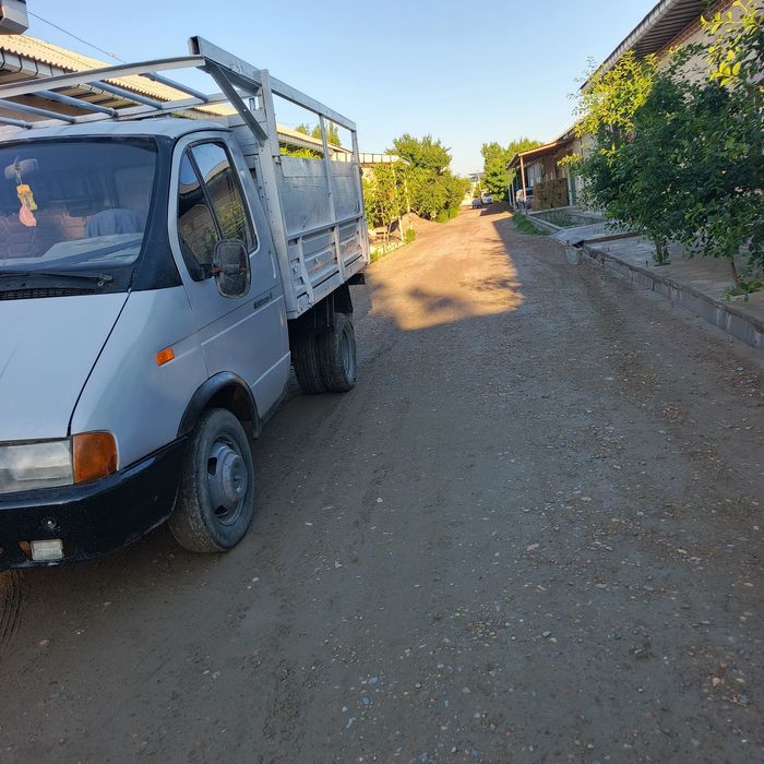 Газел бартавой змз