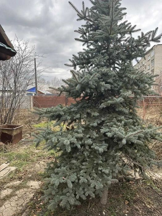 Продам благоустроинный дом в центре города .