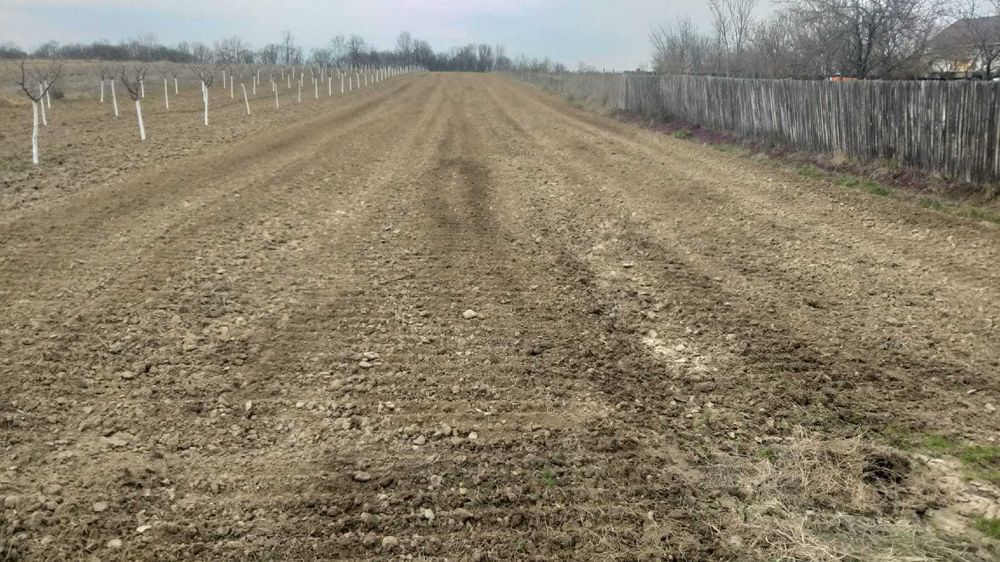 Servicii defrisari terenuri