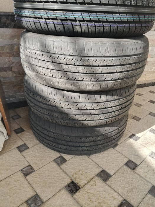 Shina r15  Machete 195ga 60