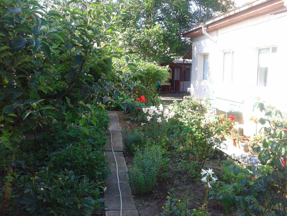 Camera cu baie proprie Iunie 2026 incepand cu 90 lei / noapte